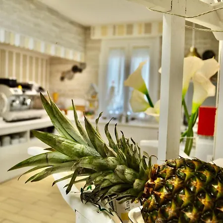 Corallo Garni Hotel 3*