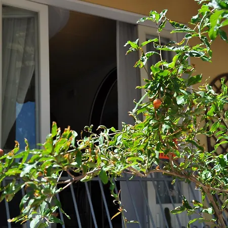 Hotel Corallo Garni Cattolica