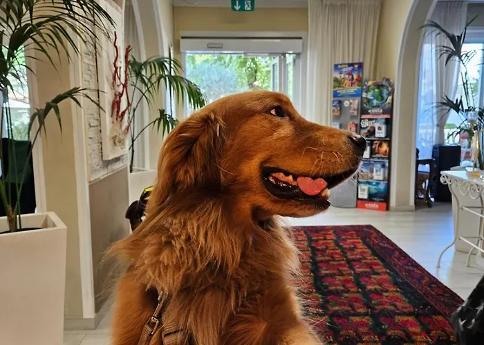 Corallo Garni 3* Κατόλικα