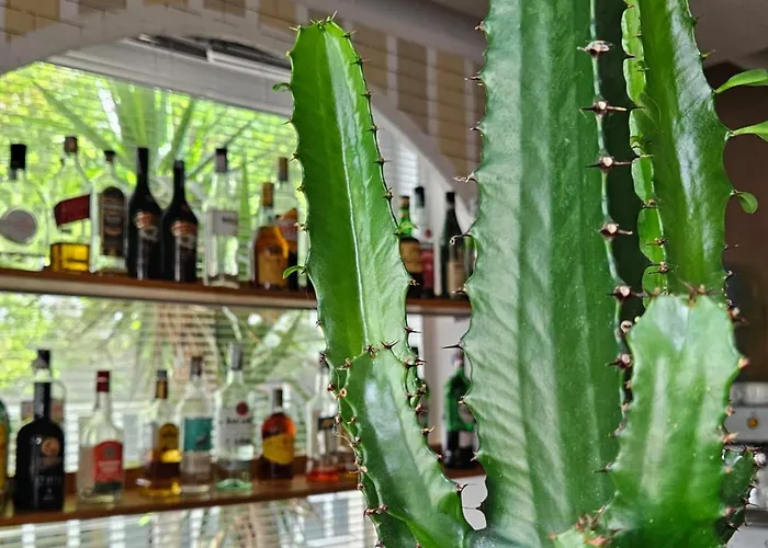 Hotel Corallo Garni Cattolica